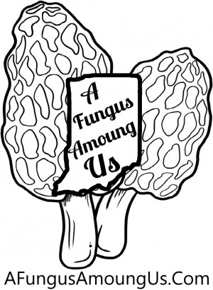 A Fungus Amoung Us